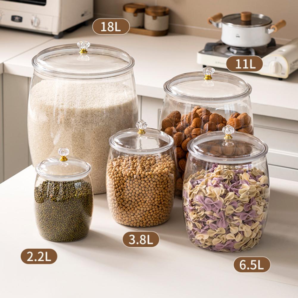 Grande Contenitore Trasparente - Coffee Tea Beans recensione e prezzo